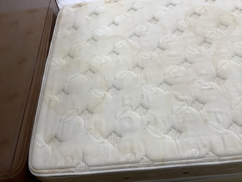 湘南藤沢情報