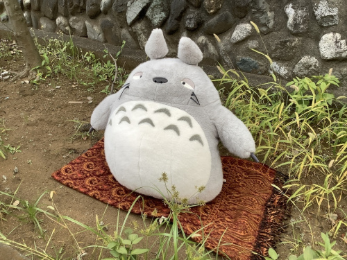 ヌイグルミのとなりのトトロ