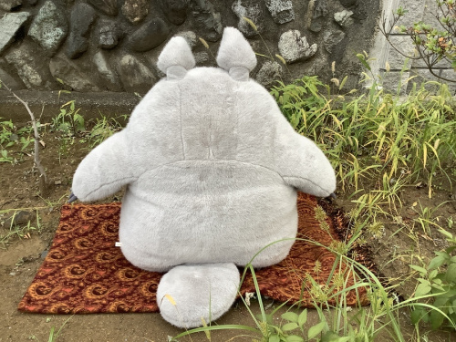 湘南藤沢情報のトレファク　藤沢