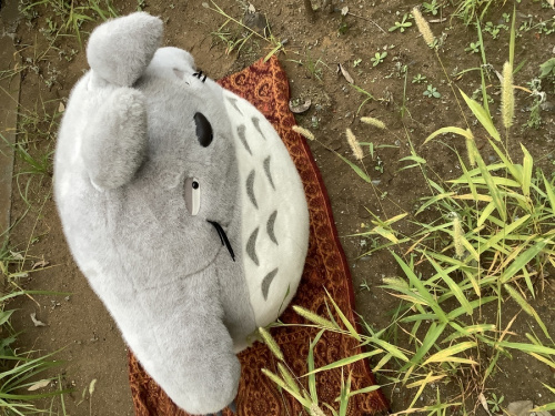 トレファク　藤沢