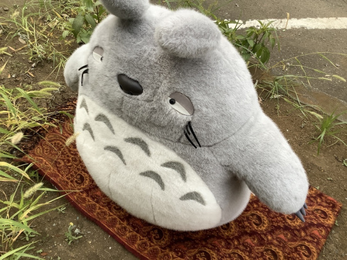 21年07月24日：画像７