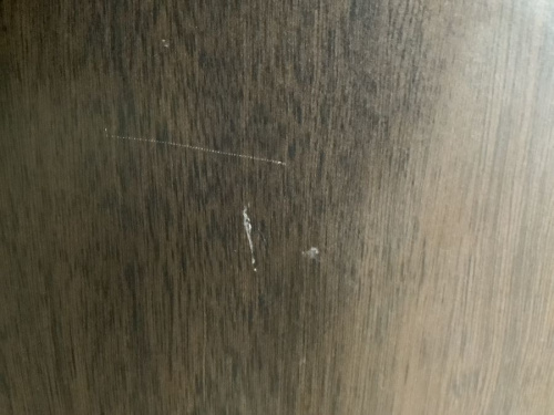 22年04月10日：画像７