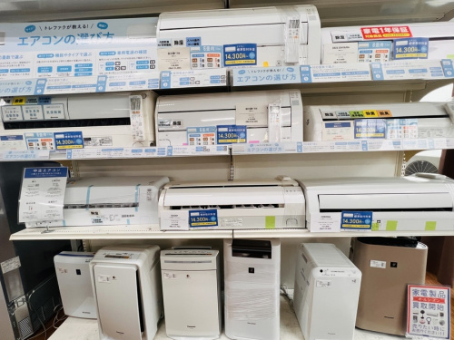 湘南藤沢情報