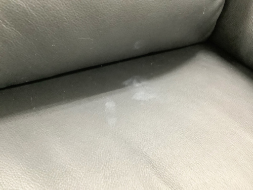 ニトリの湘南藤沢情報