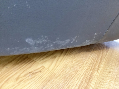 イスの湘南藤沢情報