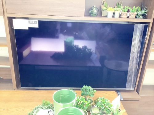 有機ELテレビのAV家電