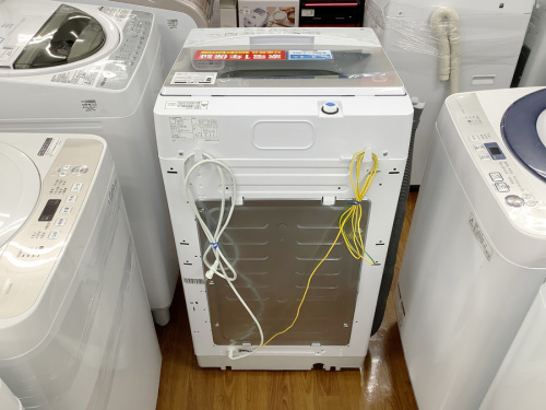 ニトリの湘南藤沢情報