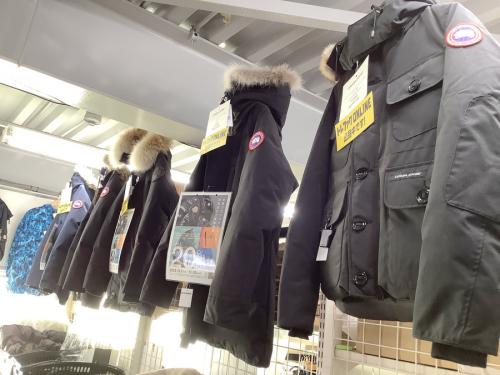 22年11月27日：画像８