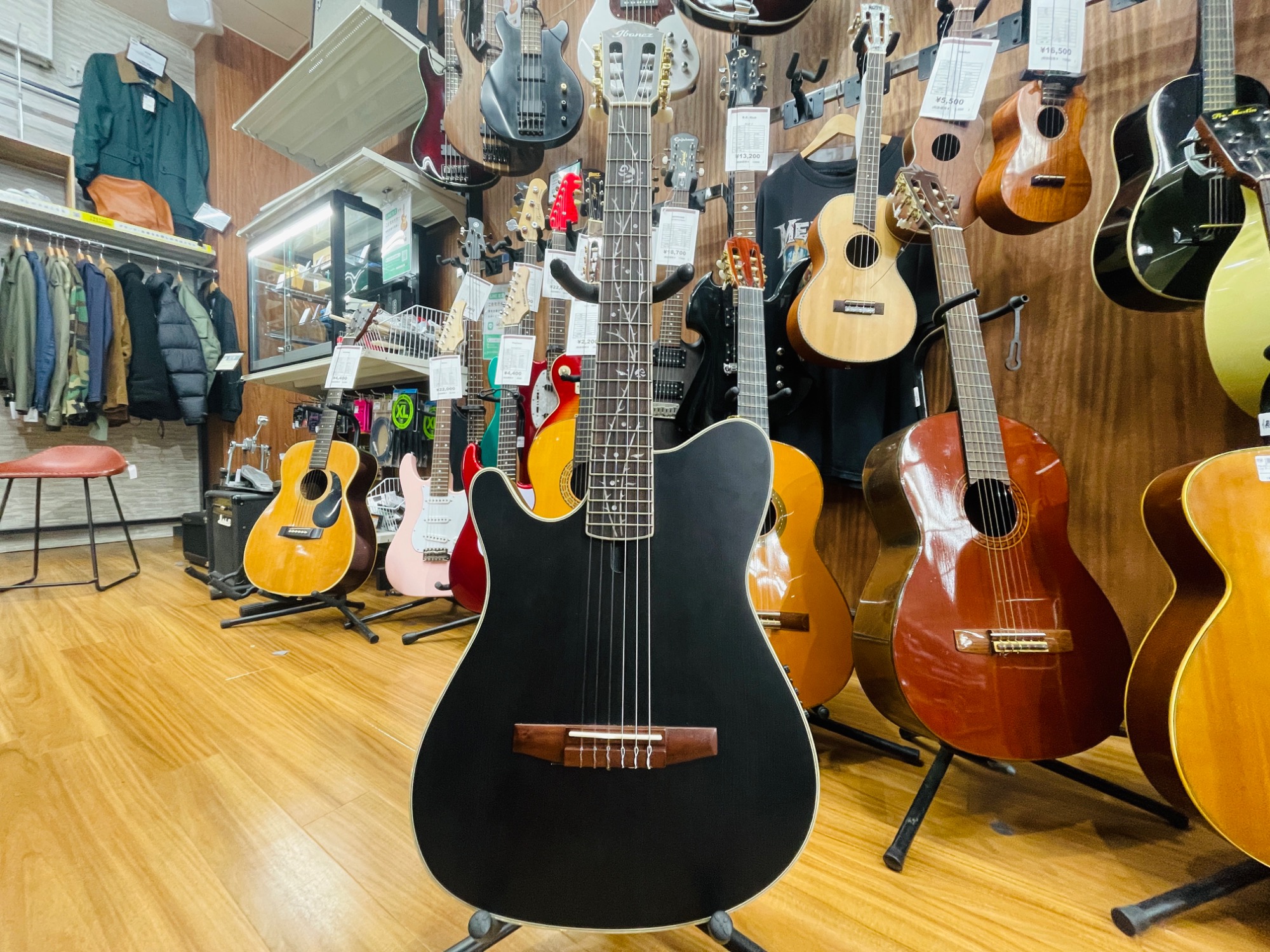 Ibanez TOD10N TKF エレガット Tim Henson Signature ティム