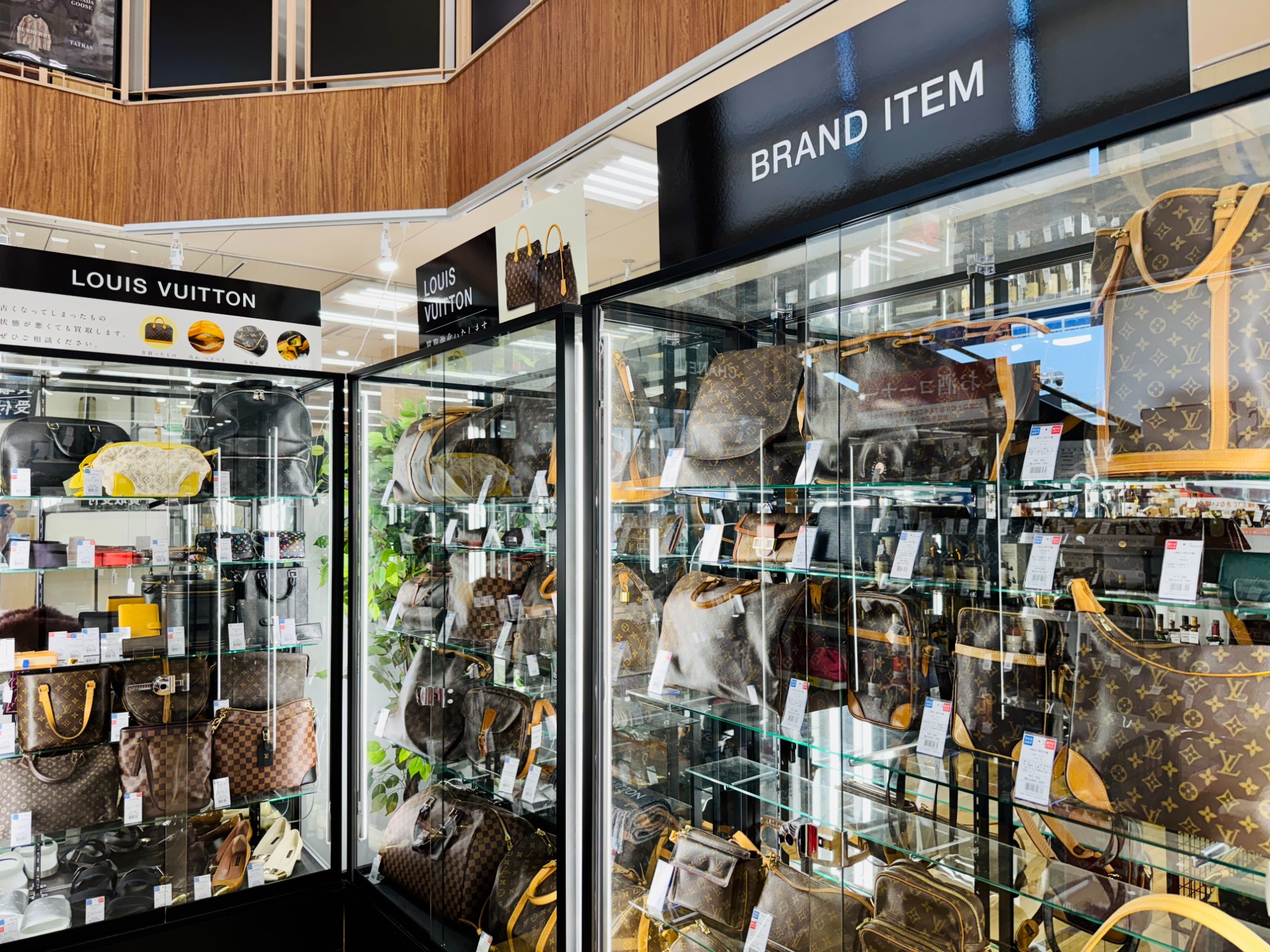 トレジャーファクトリー横浜下永谷店の売場をご紹介！｜2025年08月31日｜リサイクルショップ トレジャーファクトリー（トレファク）横浜下永谷店