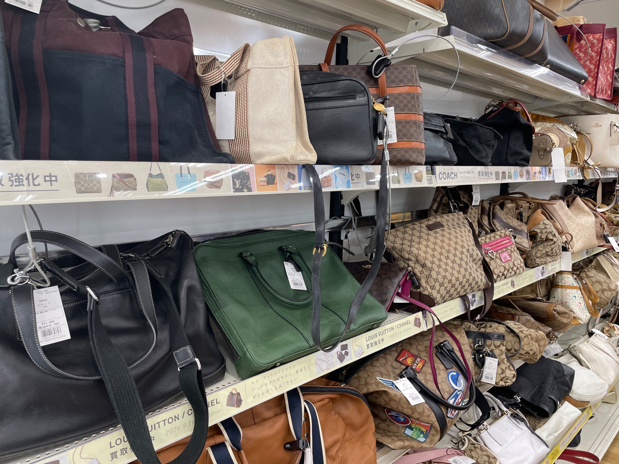 早い者勝ち　フェンディ　ズッキーノ FENDI(フェンディ) ズッキーノ 買取入荷致しました！｜2025年09
