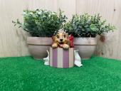 トレファク横浜下永谷店ブログ