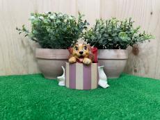 トレファク横浜下永谷店ブログ