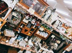 トレファク東大阪店ブログ