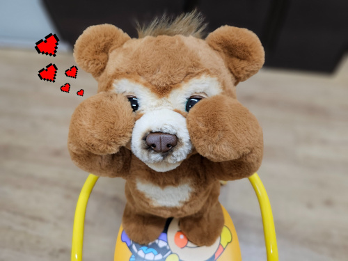 トレファクブログ画像1