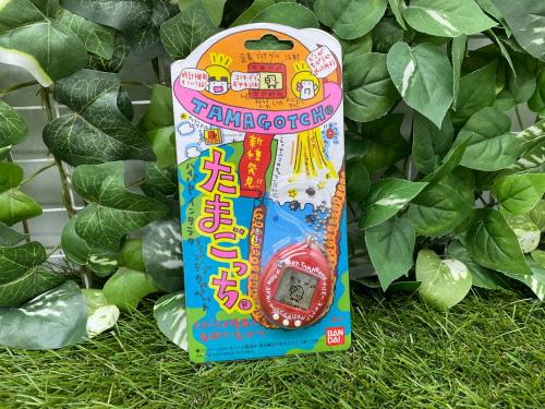 トレファクブログ画像4