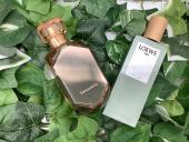 トレファク東大阪店ブログ