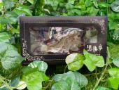 トレファク東大阪店ブログ