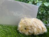 トレファク東大阪店ブログ