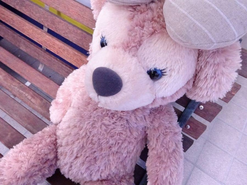 ダッフィーの東大阪ホビー