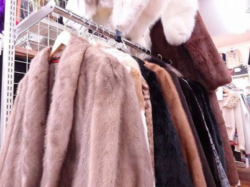 関西の東大阪レディース