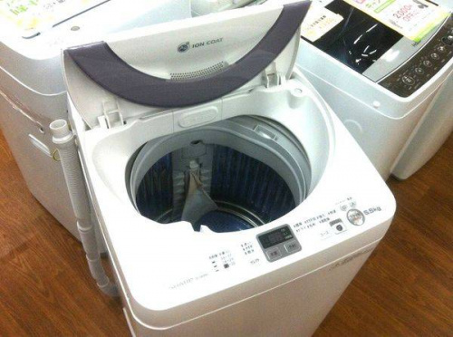 17年03月09日:画像10