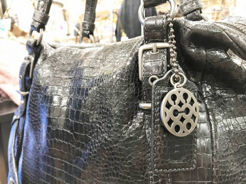 17年10月13日:画像6