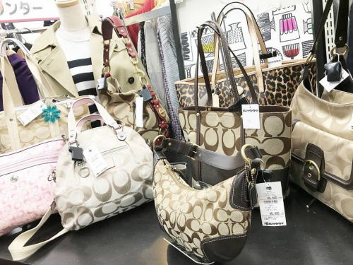 17年10月13日:画像7