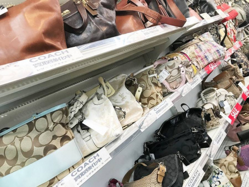 17年11月15日：画像９