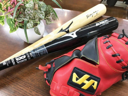 スポーツ用品の野球