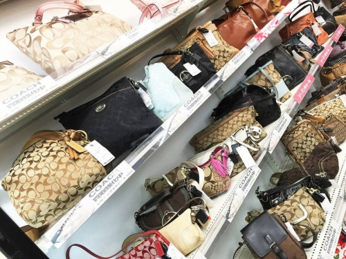 18年04月11日：画像６