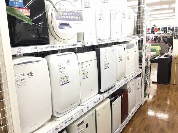 Francfrac(フランフラン)キャンディーファンが入荷しました