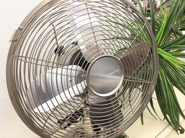 Francfrac(フランフラン)キャンディーファンが入荷しました