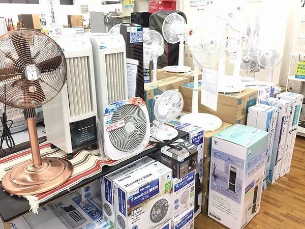 Francfrac(フランフラン)キャンディーファンが入荷しました