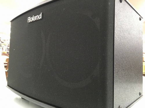 ³Ú´ï¡¦¥Û¥Ó¡¼»¨²ß¤ÎROLAND