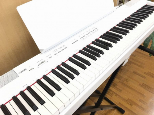 楽器・ホビー雑貨のキーボード