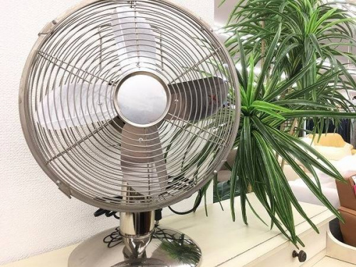 季節家電の扇風機