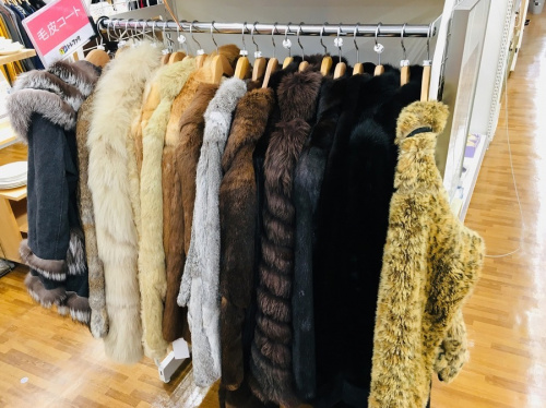 18年11月10日：画像６