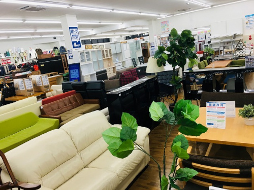 19年02月07日：画像７