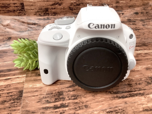一眼レフカメラ 中古のカメラ 買取