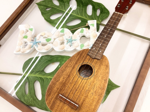 ウクレレ　買取の楽器　中古