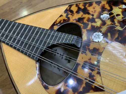 中古楽器店のギター