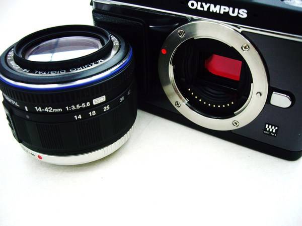 Holga