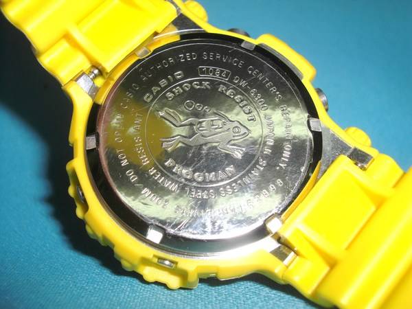 casio dw 6300 bezel