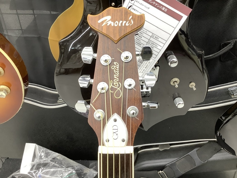 ☆Morris☆Tornado GXD モーリス トルネード エレアコ ギター