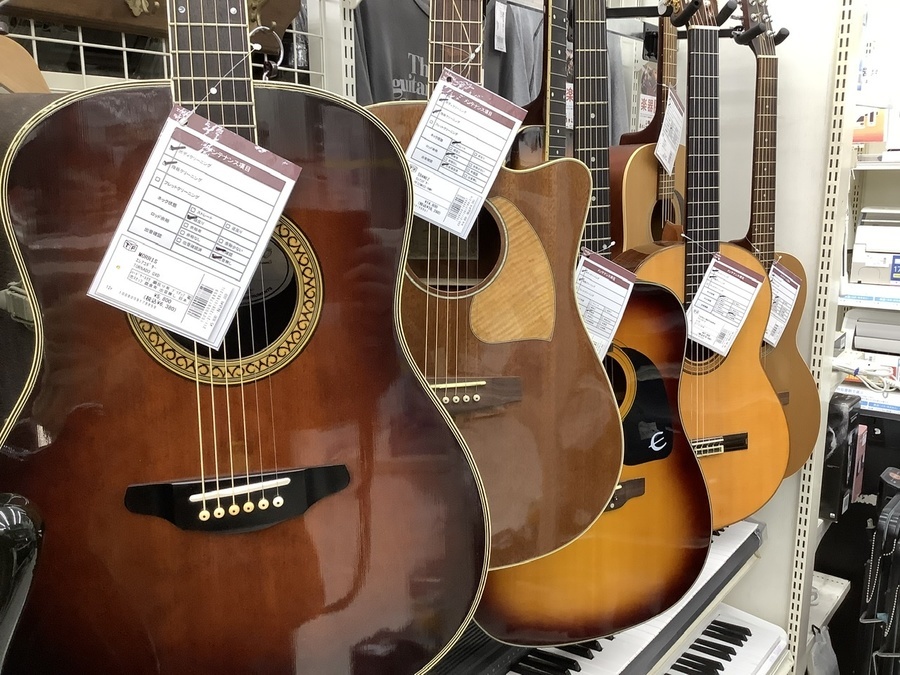 Morris（モーリス）エレアコ トルネード GXX MORRIS/モーリス】 エレアコギター TORNADE GXD 訳アリ品 紹介