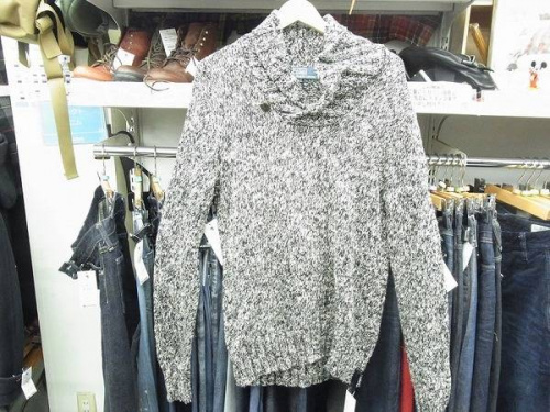 シャツのベスト