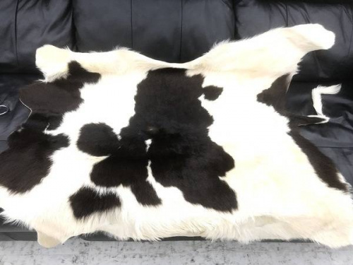 お宝のキャンペーン