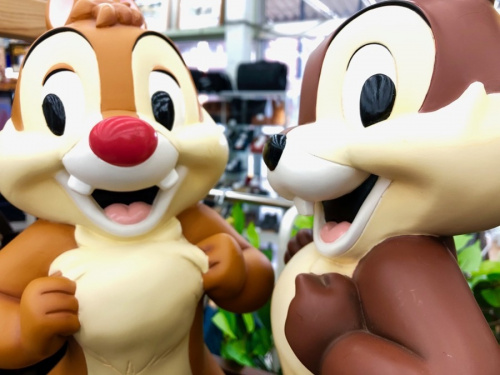 川崎　青葉　世田谷　鶴見　横浜の横浜西区　港北区