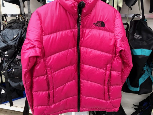 レディースファッションのTHE　NORTH　FACE